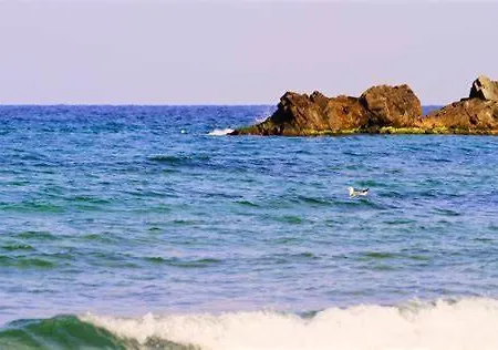 Golden Luxury On The Sand, Chernomoretz, Bulgaria