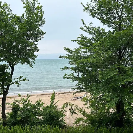 Golden Luxury On The Sand, Chernomoretz, Bulgaria Chernomorets